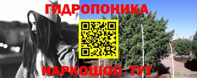шишки Янаул